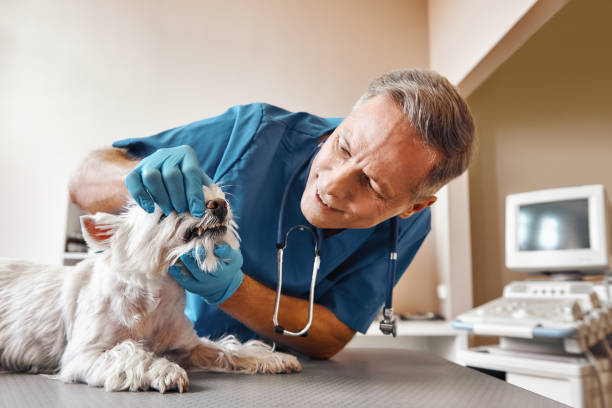 Best Same-Day Emergency Dental Services in Grandview, WA